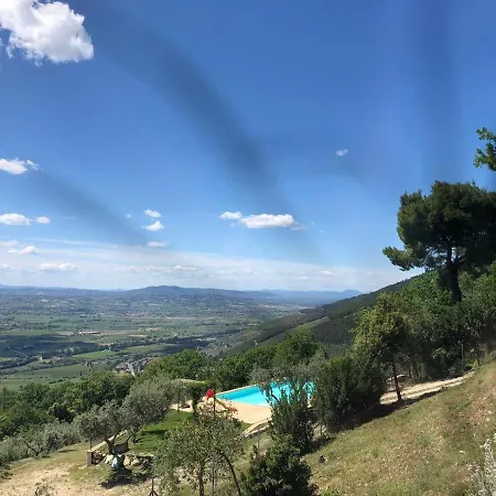 Belvedere *