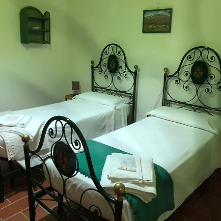 Bed & Breakfast Belvedere *