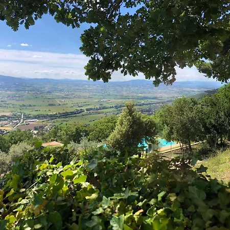 Belvedere Отель типа 