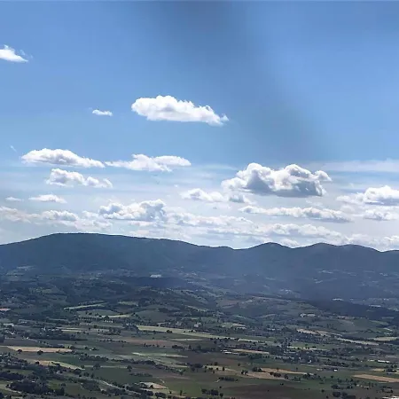Belvedere