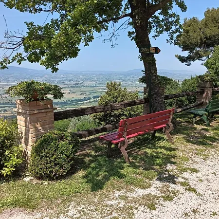 Belvedere
