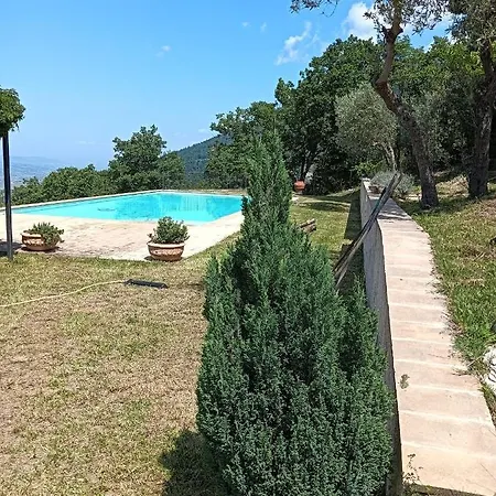 Bed & Breakfast Belvedere *