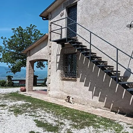 Belvedere Bed & Breakfast