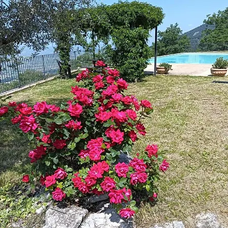 Belvedere Bed & Breakfast Campello sul Clitunno