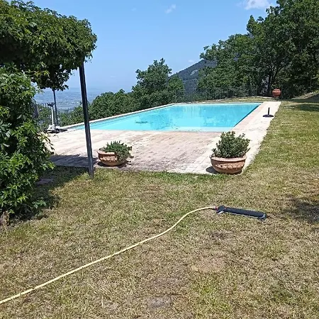 Belvedere