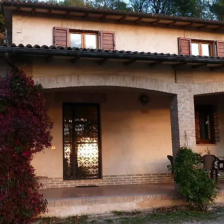 Belvedere Bed & Breakfast *